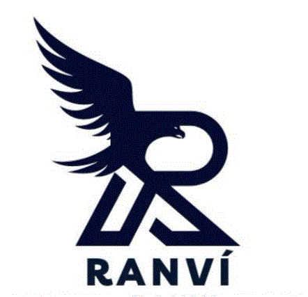 Logo do anunciante do Peça Direta RANVI