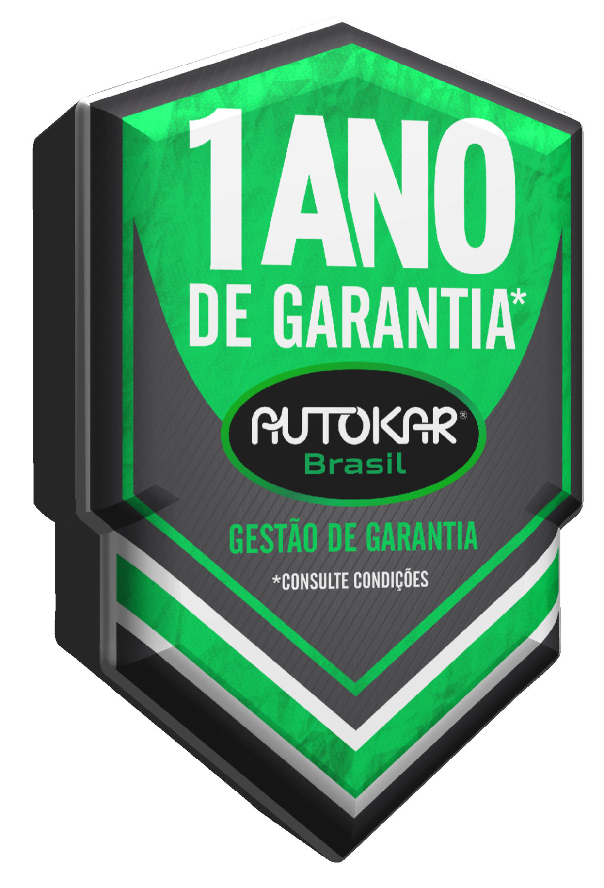 Logo do anunciante do Peça Direta RICARDO GOMES DE LIMA