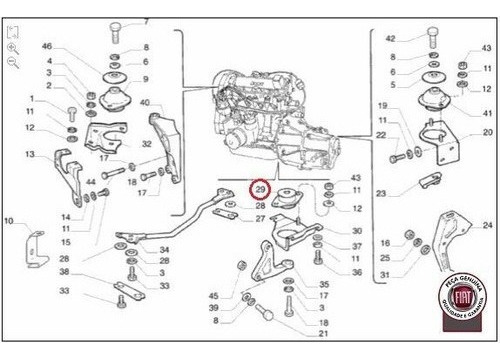 COXIM CÂMBIO - 50017753 - 