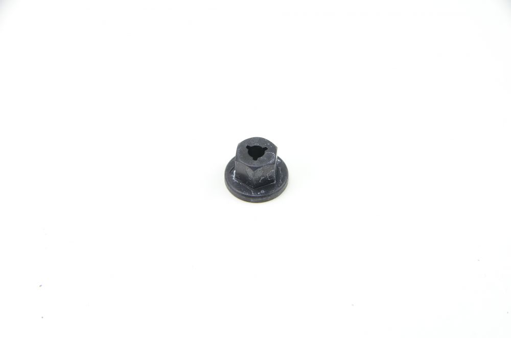 PORCA - 46809421 - Stilo, Argo, Palio