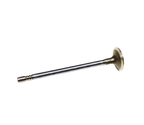 VÁLVULA ESCAPE - 55220016 - Toro
