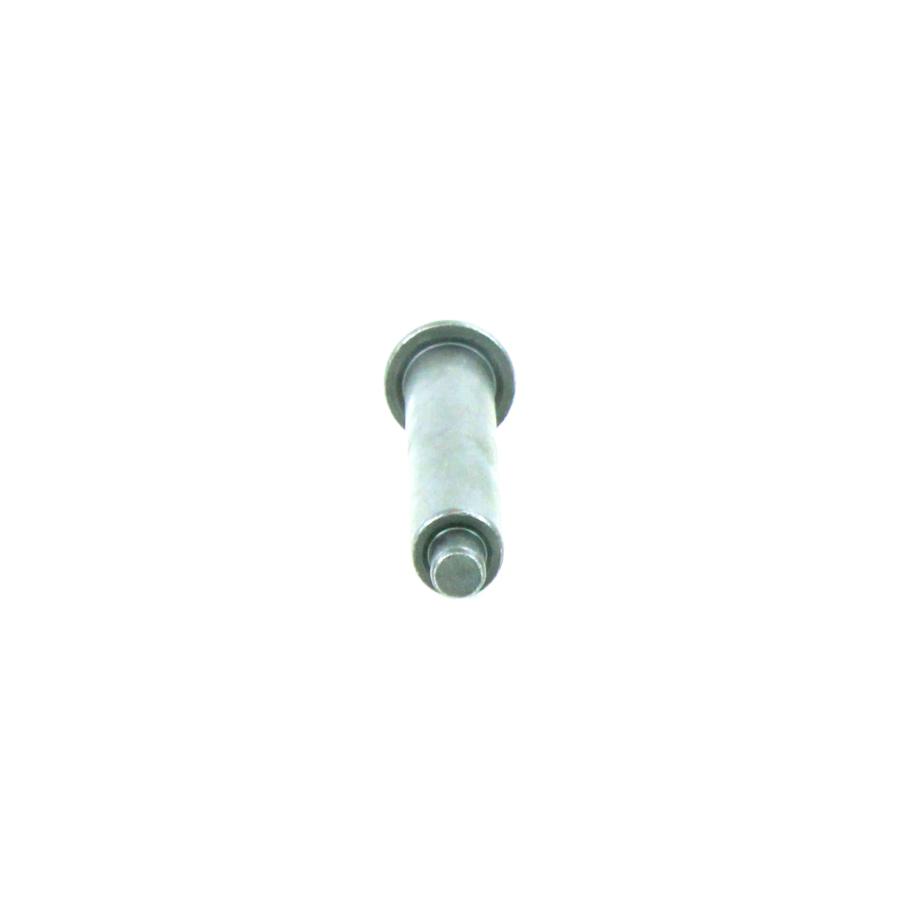 Pino - WHT001413 - Up!