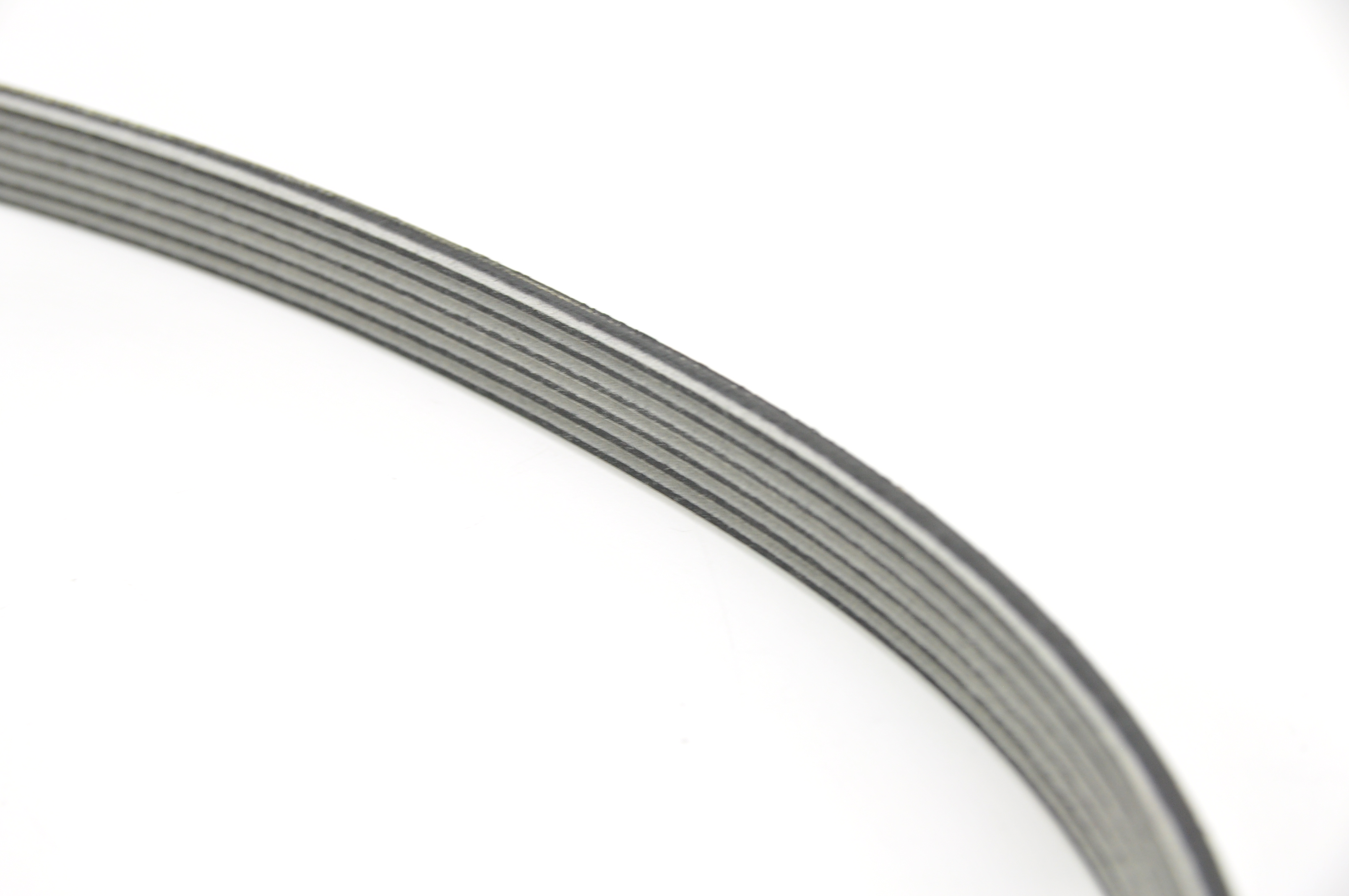 Correia Alternador - 9800716180 - C3