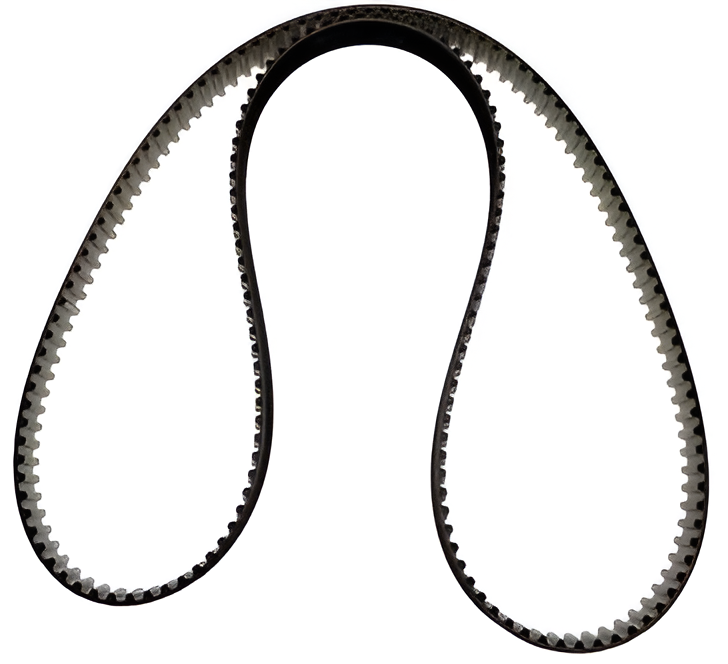 Correia Dentada - 1612801280 - Boxer