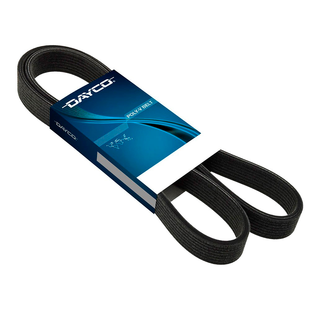 Correia Poly V - 10A0980C - Gol