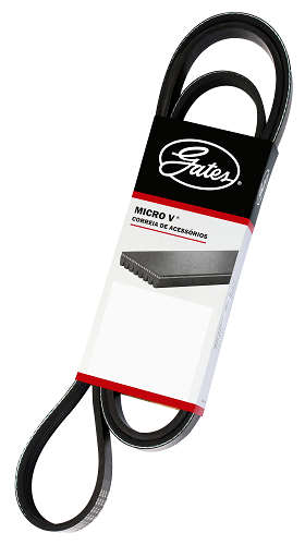 Correia Poly V - 5PK0915 - Sandero