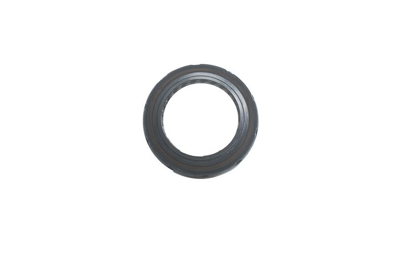Vedador rolamento roda traseira - 94771553 - TrailBlazer, S10 Cab Simples, S10 Cab Dupla
