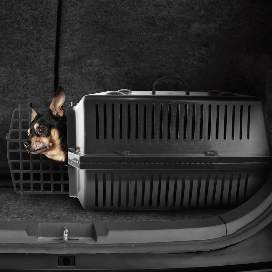 Caixa Transporte Pet - V04010024F - 