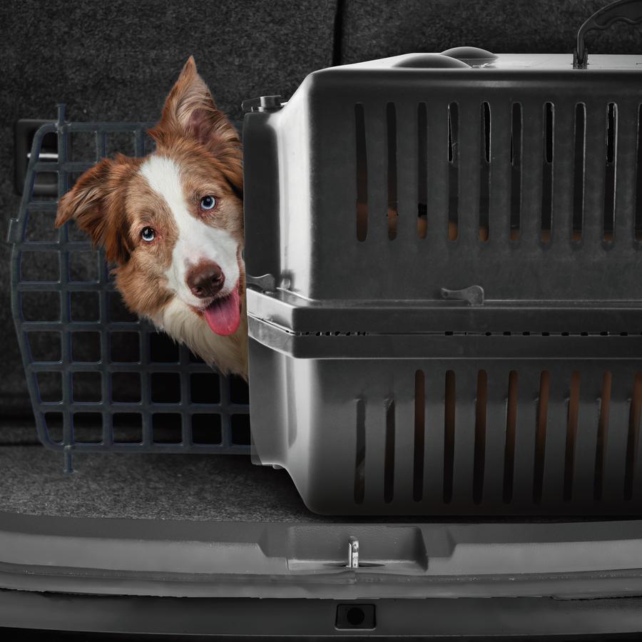 Caixa Transporte Pet - V04010024J - 